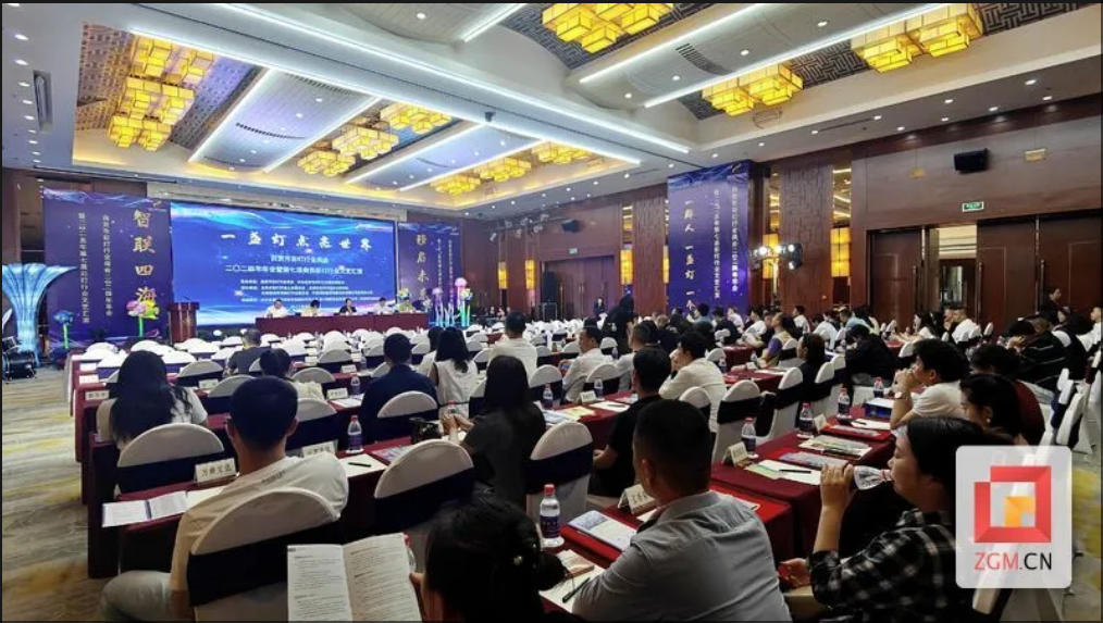 自贡市彩灯行业商会：以“一片光”的温度照亮发展之路